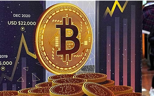 PALG幣的發行價是多少？了解PALG幣的發行價格