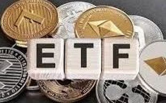 Profits over Bitcoin concept stocks opened with an increase of