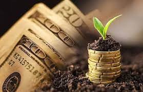 Will the price of a new coin increase when it is listed on the e