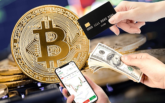 Apa itu KoinWolk WLK Buku putih proyek Wolk situs web resmi