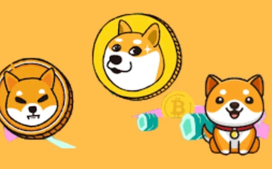 How to buy LBR coins Full Tutorial on LBR Coin Trading and Sale